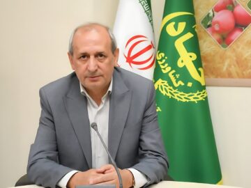خرید گندم در آذربایجان شرقی از مرز ۱۵۲ هزار تن گذشت