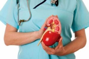 اصلاح ژنتیکی باکتری روده سنگ کلیه را درمان کرد