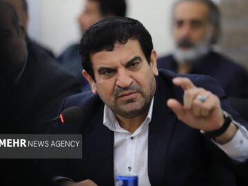 پیگیری آتش سوزی نخل‌های آبادان تا حصول نتیجه/ دولت از انفعال خارج شود