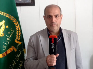 توزیع بیش از ۳۰۰ تن اقلام تنظیم بازاری در ری؛ برداشت ۵۲ هزار تن گندم