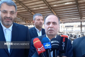 وزیر جهاد: واردات ۲۰۰ هزار تُن گوشت قرمز در دستور حذف است
