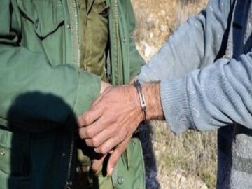 صیادان غیرمجاز پرندگان زینتی در «هشتاد پهلو» خرم‌آباد دستگیر شدند