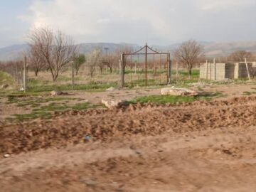 شناسایی ۸۴۴ مورد تغییر کاربری غیرمجاز اراضی کشاورزی در لرستان