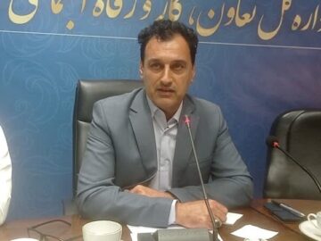 همکاری دستگاه‌ها و تخصیص تسهیلات ویژه به تعاونی‌های گلستان ضروری است