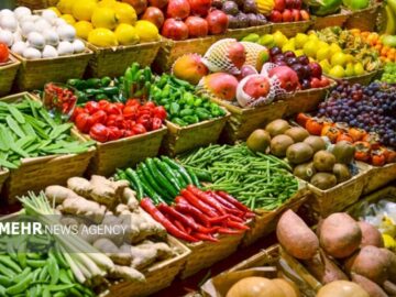 تعیین قیمت محصولات کشاورزی تابع کیفیت و زمان عرضه است