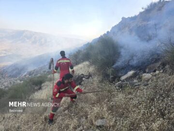 همبستگی بی‌نظیر مردم در نبرد نفس‌گیر نجات جنگل ابر؛ همه پای کار هستند