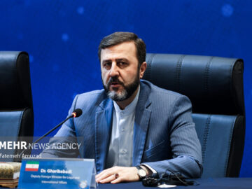 غریب‌آبادی: حمله به ایران آزمونی تاریخی برای شورای امنیت است