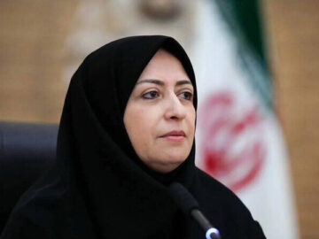 شینا انصاری: همه دستگاه‌ها در موضوع گردو غبار پای کار باشند