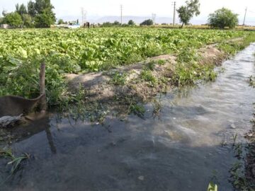 تداوم روش های سنتی در آبیاری به کم آبی دامن می زند