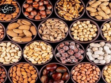 خوراکی‌هایی برای جوان ماندن مغز