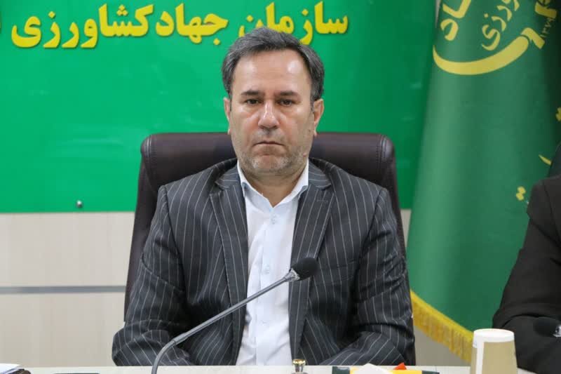 فاز عملیاتی خودکفایی گوشت قرمز؛ طرحی که صنعت دام را متحول می‌کند