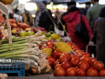 اختلاف قیمت اقلام خوراکی در میادین تره‌بار تهران نسبت به سطح شهر