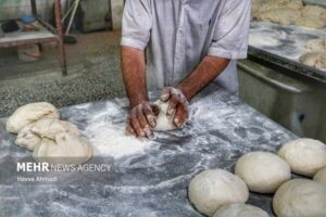 تجهیز ۶۵ درصد نانوایی‌های تربت‌جام به سوخت دوم