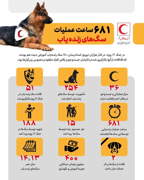 ۶۸۱ ساعت عملیات نجات با کمک سگ‌های زنده‌یاب در جنگ اخیر