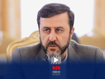 واکنش غریب آبادی به اظهارنظر صدراعظم آلمان درباره فعال شدن اسنپ بک