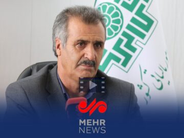 آمار مالیات وصولی چهارمحال و بختیاری از زبان مدیرکل مالیاتی