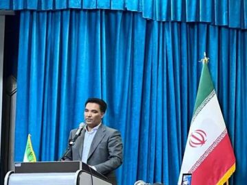 صدور ۳۳۲ مجوز واحد صنعتی در جنوب استان کرمان