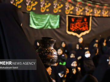 بصیرت و دشمن‌شناسی از اصول اساسی عزاداری امام حسین(ع) است