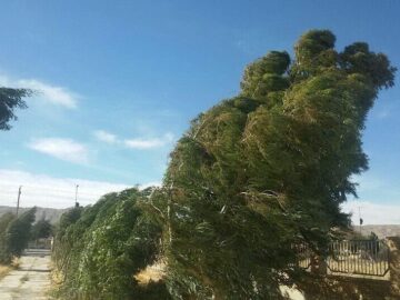 استمرار وزش باد شدید و گرد و خاک در خراسان جنوبی