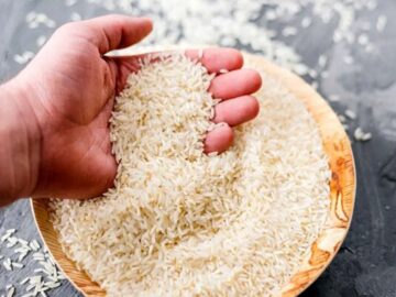 گیلان دومین تولیدکننده برنج کشور است؛ تولید سالانه ۷۵۰ هزار تُن برنج