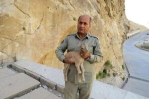 سردار رستگار: پیگیری پرونده شهید هدایتالله دیدهبان با قوت ادامه دارد