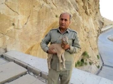 سردار رستگار: پیگیری پرونده شهید هدایت‌الله دیده‌بان با قوت ادامه دارد
