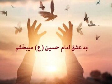 صلح و سازش ۳۶۱ پرونده اختلاف در میاندوآب