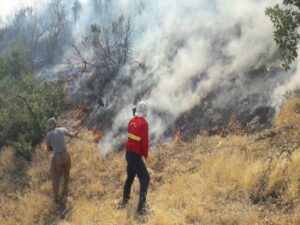 لزوم آمادگی کامل سقز برای مقابله با آتشسوزی و تنشهای فصلی