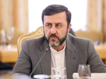 غریب‌آبادی: هرگونه تلاش برای فعال‌سازی مکانیسم ماشه غیرقانونی است