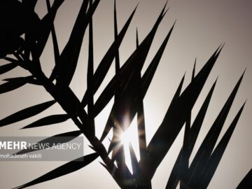 تداوم موج گرما در استان ایلام؛دمای دهلران از ۵۰ درجه فراتر رفت