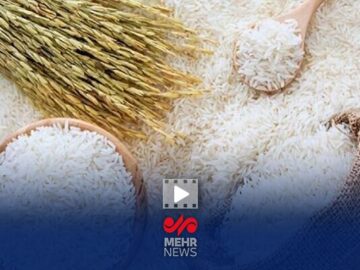 علت افزایش قیمت برنج چه بود؟