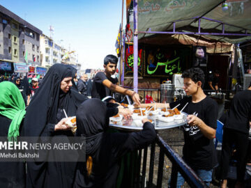 خدمت‌رسانی گسترده موکب حضرت معصومه(س) به زائران اربعین ۵۱ کشور