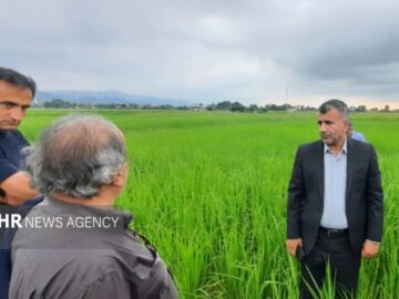 فرماندار تالش: کوتاهی در امور کشاورزی شهرستان پذیرفتنی نیست