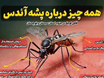 اینفوگرافیک| قاتلی کوچک در جنوب سیستان و بلوچستان