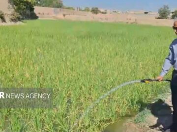 انشعاب آب غیرمجاز در مراتع کشاورزی شهر اصفهان قطع شد