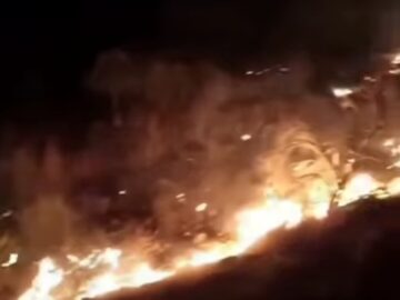 مراتع شهرستان دشتستان دچار حریق شد