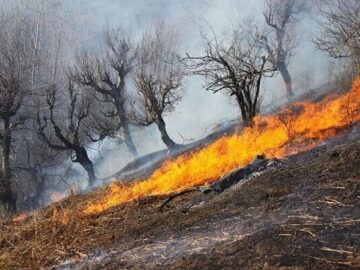 اعزام ۵۰ نیروی امدادی برای مهار آتش در منطقه گیسکان دشتستان