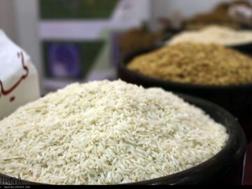 دلالان و واسطه گران همچنان متهمان اصلی گرانی برنج
