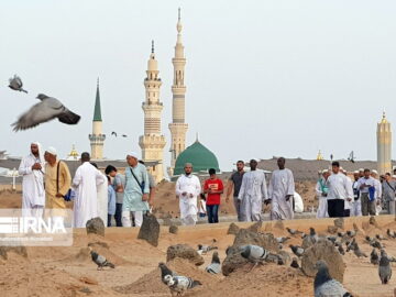 امام حسن(ع) با پذیرش آتش‌بس به هدایت نسل‌های آینده پرداخت