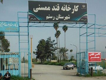 قطار احیا در ایستگاه کارخانه قند ممسنی؛تلخی انتظار،شیرینی بازگشت