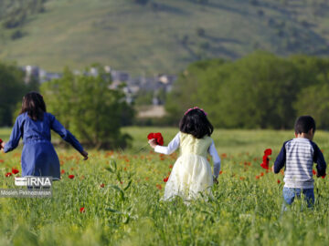جمعیت در سایه بی‌اعتمادی جوان نمی‌شود