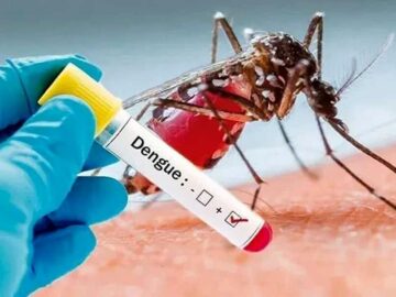 ۲ مبتلای قطعی به تب دنگی و ۴۰۰ مورد مشکوک در هرمزگان شناسایی شدند