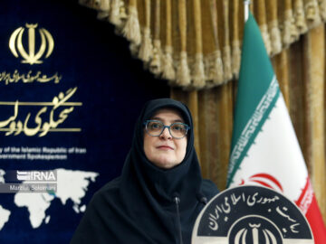 سخنگوی دولت:نمی توانیم سهم بنزین دهک های پایین را به آفرود سواران بدهیم