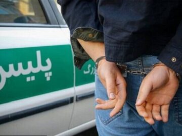 سارق مسلح هرمزگانی در استان فارس دستگیر شد