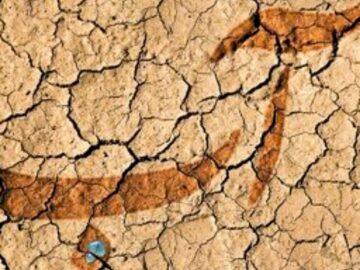 زنگ خطر بحران آب در استان بوشهر به صدا درآمده است