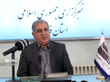 معاون استاندار فارس: دستگاه‌های اجرایی، همکاری گسترده‌تری با سمن‌ها داشته باشند