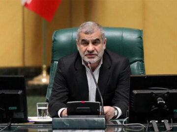 نیکزاد: مطالبات گندمکاران پرداخت می‌شود/ تاکید دولت بر ضرورت امنیت غذایی