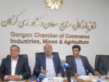 وزیر تعاون: حل مشکلات دولت و بخش خصوصی، به کارگروه تخصصی نیاز دارد