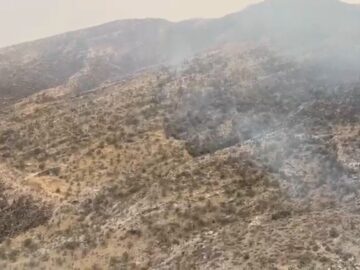 فیلم| آتش‌سوزی گسترده در ارتفاعات دشتستان مهار شد