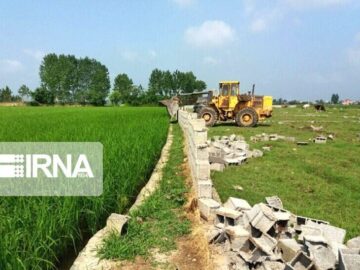 دادستان ساری: تغییر کاربری اراضی کشاورزی در مازندران نگران کننده شده است